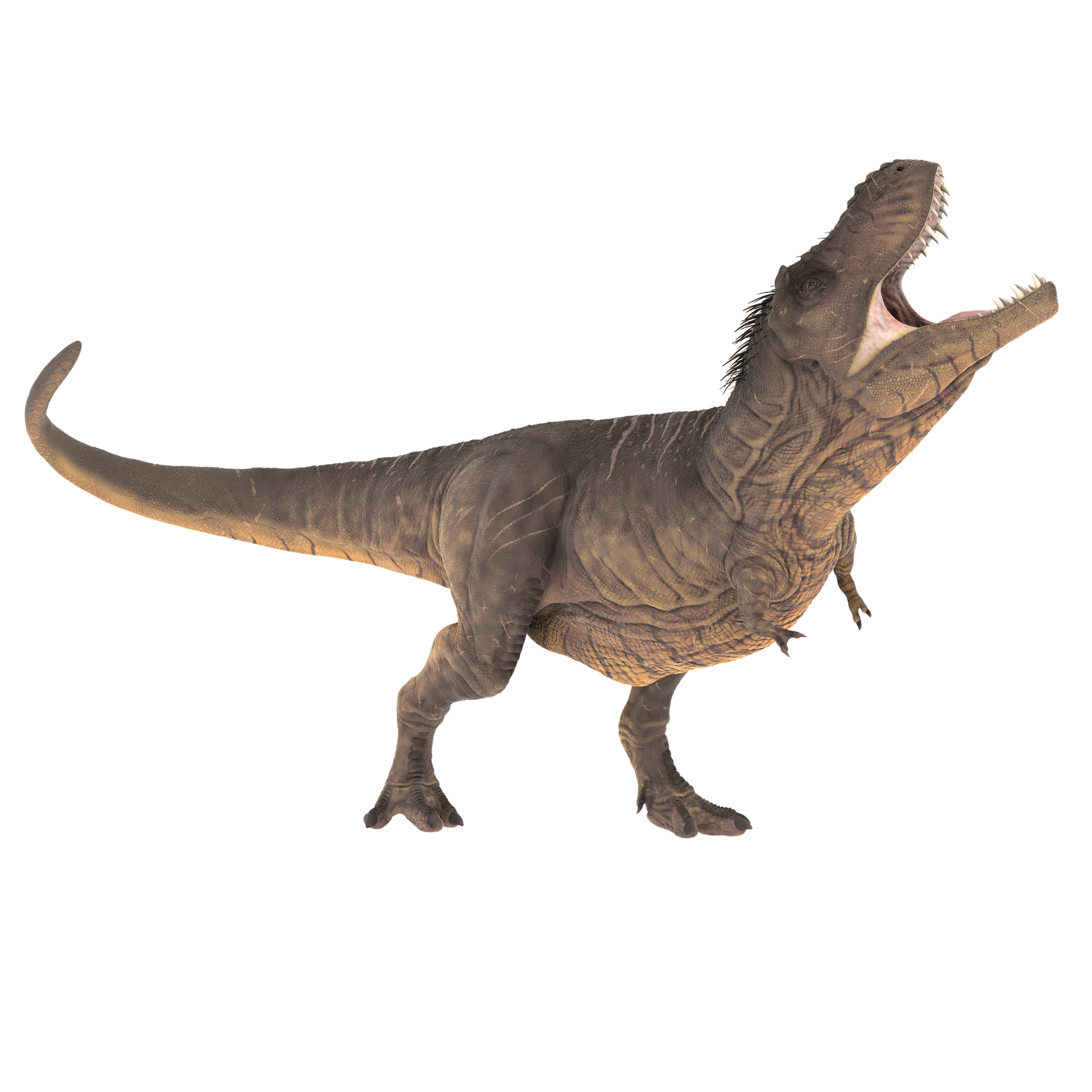 Dinossauros PNG Personalizados Dinossauros Dinossauros PNG em alta  qualidade OVO dinossauro PNG Dinossauro …